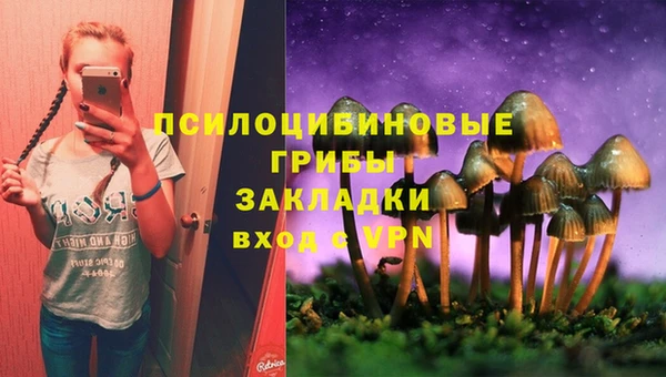 прущие грибы Кинешма