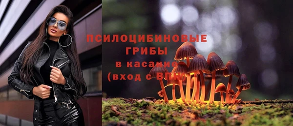 прущие грибы Кинешма